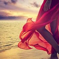 少男少女网络情缘读后感精选