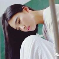 狐狸和小猫的故事读后感汇总