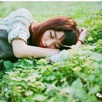 小刺猬和小乌龟的读后感聚集