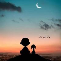 洪战辉事迹简介读后感整理