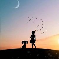 南风与北风读后感选录