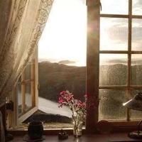 小茶匙老太太的读后感优秀汇聚