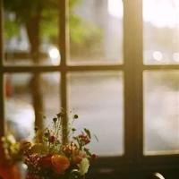 《檀香刑》读后感合集