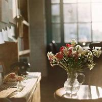 诗词关雎读后感300字摘录