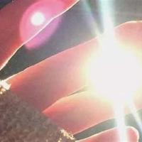 从容的底气读后感350字合计