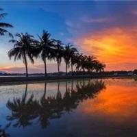 坏孩子的故事读后感汇编