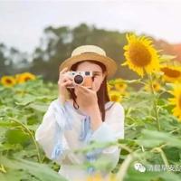 开卷有益学习读后感汇集