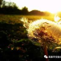 阿诗玛读后感200汇集