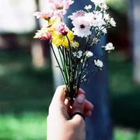 仿写三年级的读后感汇聚