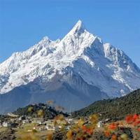 我的少年时代读后感合集