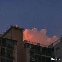 斗蛐蛐散文读后感摘录