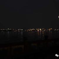 五瓣儿丁香100字读后感选录