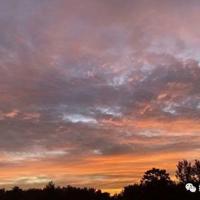 哑奴500字读后感大全细选