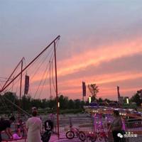 天鹅牧场读后感200字集合