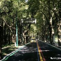 读完刘三姐的读后感收集