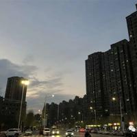 牧羊犬动画片读后感精练