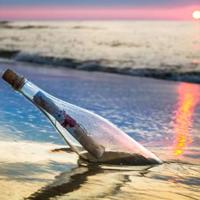 幸运兔精灵读后感汇编