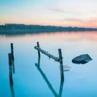 《鱼鹰》的读后感800汇编