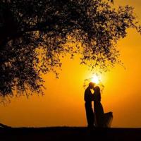 至爱梵高星空之谜的读后感总汇