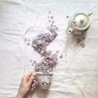 时间的女儿读后感总汇