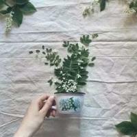 歌王读后感500字左右合计