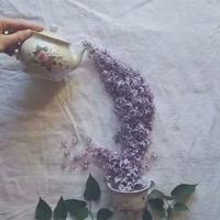 弘扬中国民族精神读后感汇合