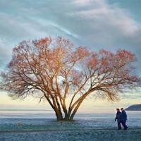 勇敢的母亲读后感汇集