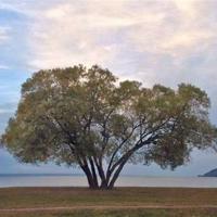 科学家走进校园读后感精选