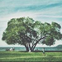 孟子告天下读后感汇集