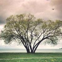 血钻读后感500字左右选录