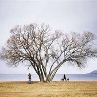 《彭彭彭》读后感250字合计