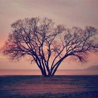 七十周年阅兵式读后感选录