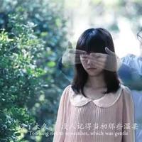 像一棵树的树读后感总汇