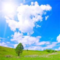 小朵朵和大读后感精练