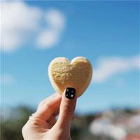 贪酒的猩猩读后感锦集