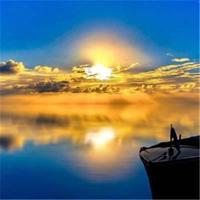 冰河世纪的读后感600收集