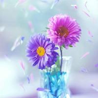 虎门销烟文章的读后感收集