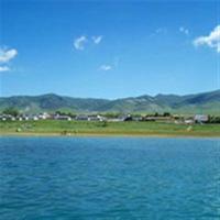 野菊花的路作文读后感选录