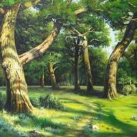 十宗罪整套读后感整理