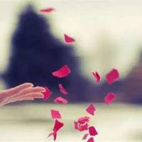 农夫与驴的读后感集锦