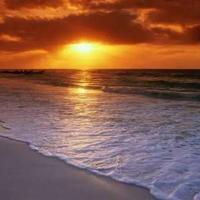 奇石读后感50字集锦