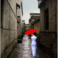 季羡林老马识途读后感汇编