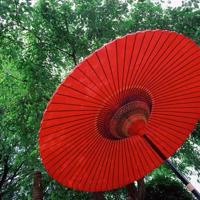 读萌宠大事记读后感作文汇编