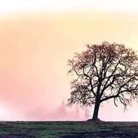 普罗米修斯偷火种读后感锦集