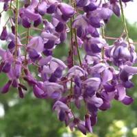 逆转思维读后感第一篇合计