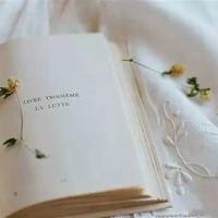 寂寞的春天读后感作文合计