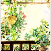 巫山传奇450字读后感精练