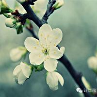 《历史与阶级意识》读后感锦集