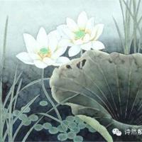 反隐身雷达总师读后感精练