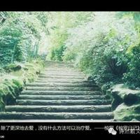 五子登科读后感五年级集锦